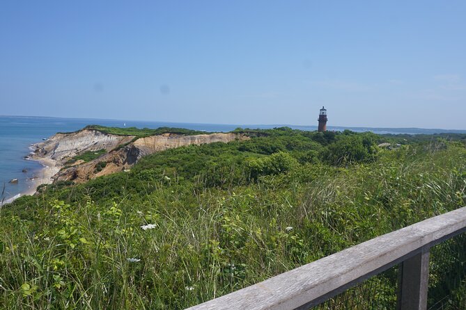 Martha's Vineyard Day Trip with Optional Island Tour from Boston - Oak Bluffs gives you the main choice of the day