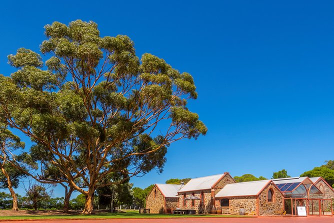 McLaren Vale and Glenelg Wine Tasting and Sightseeing (Half-day Afternoon) - Meeting in central Adelaide at 12:30 pm