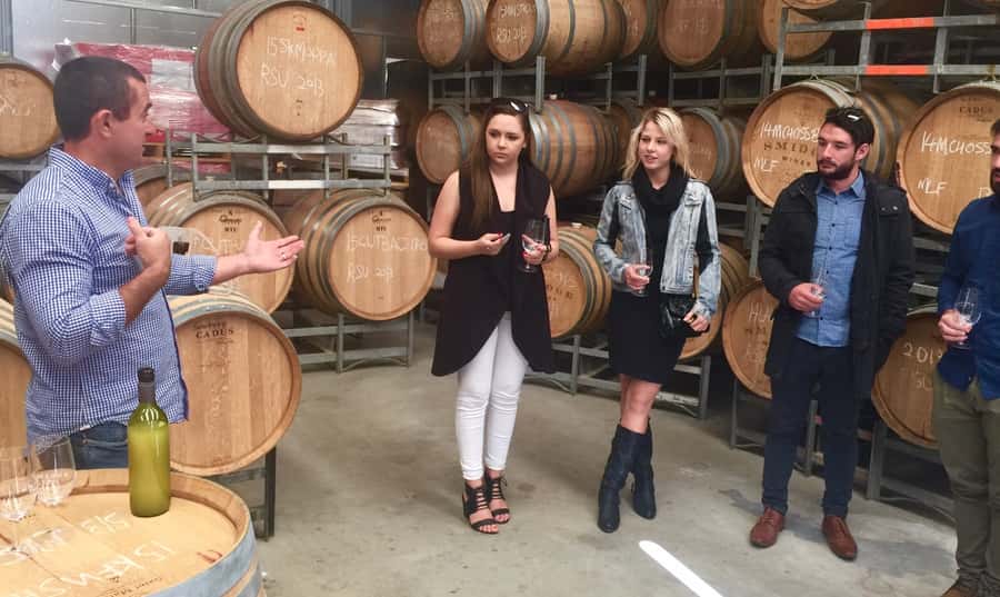 McLaren Vale: Small Group Wine Tour (Includes Lunch) - Key points to know before booking