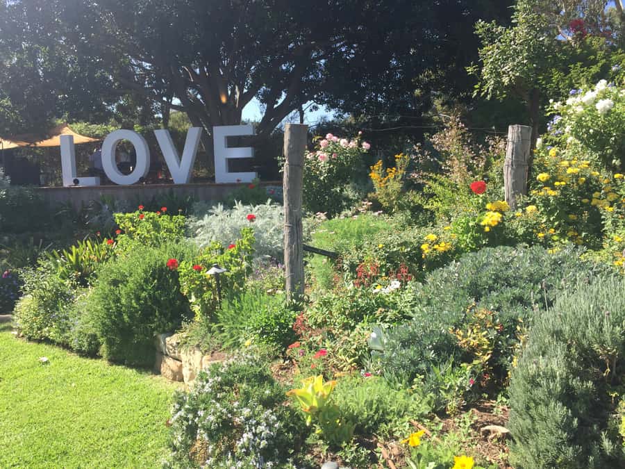 McLaren Vale: Small Group Wine Tour (Includes Lunch) - Lunch with a regional platter