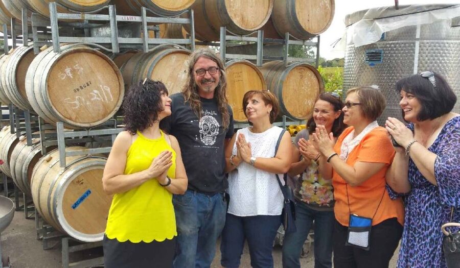 McLaren Vale: Small Group Wine Tour (Includes Lunch) - The guide makes or breaks the day