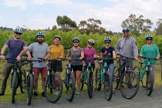 McLaren Vale Wine Tour by Bike - Rolling into McLaren Vale’s vineyards