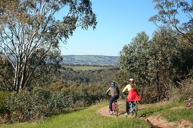 McLaren Vale Wine Tour by Bike - A local-produce lunch in the middle of the day