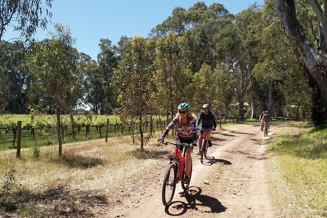 McLaren Vale Wine Tour by Bike - The final stop may be wine, beer, or something else