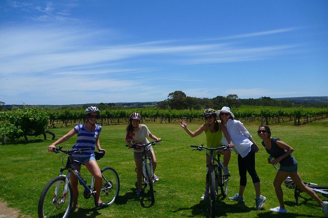 McLaren Vale Wine Tour by Bike - What the small group changes