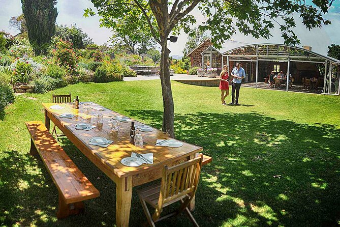 McLaren Vale Winery Small Group Tour with Wine Tasting and Lunch - The day at a glance