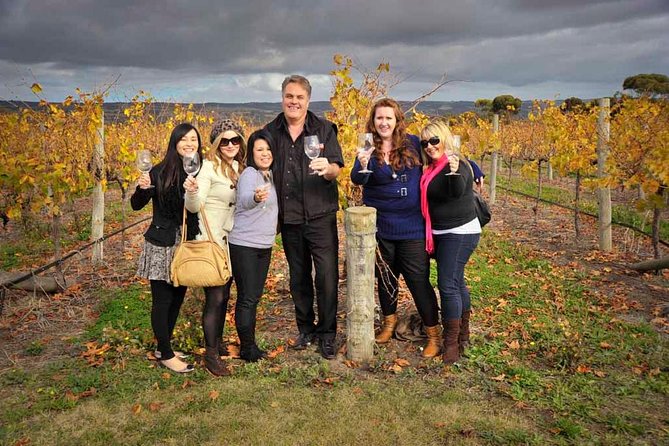 McLaren Vale Winery Small Group Tour with Wine Tasting and Lunch - Why McLaren Vale works so well as a day trip