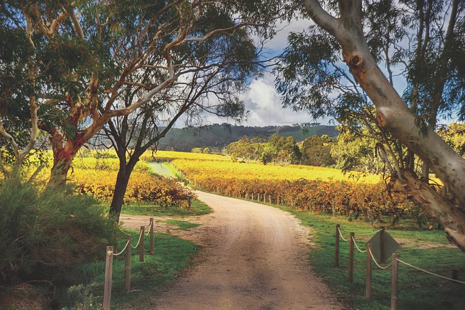 McLaren Vale Winery Small Group Tour with Wine Tasting and Lunch - The coastal road to McLaren Vale