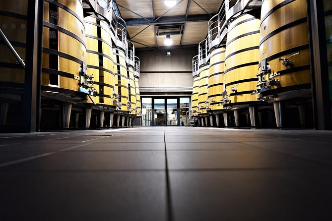 Medoc Afternoon Wine Tour - 2 Wineries, tastings & delicacies - Who should book this tour?