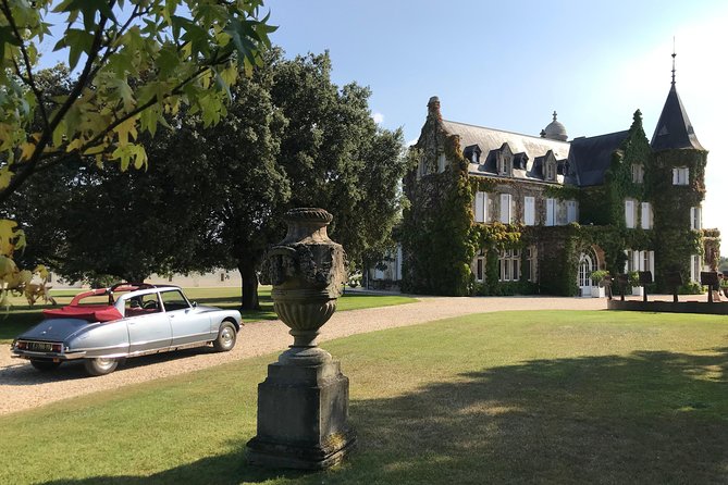 Médoc luxury wine tour aboard a Citroën DS Limousine Convertible - Who will enjoy this Médoc outing most?