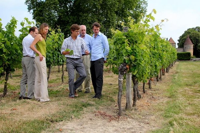Medoc or Saint Emilion Wine Tasting and Chateau from Bordeaux - What the Saint-Émilion afternoon offers