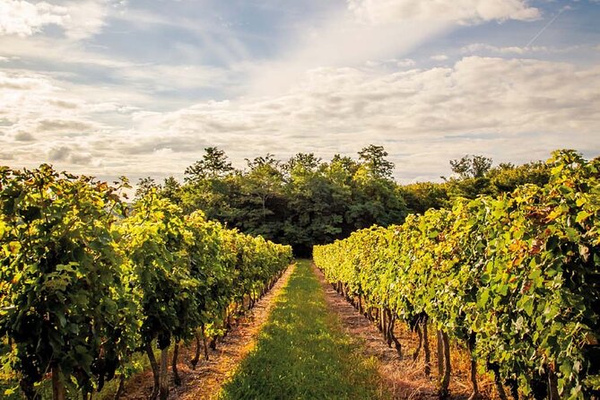 Médoc Region Half-Day Wine Tour with Winery Visit & Tastings from Bordeaux - Along the Route des Châteaux