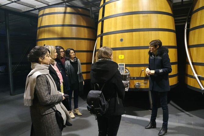 Medoc Region Wine Day Trip with Vineyard Visits & Tastings from Bordeaux - Why Médoc makes a good Bordeaux day trip