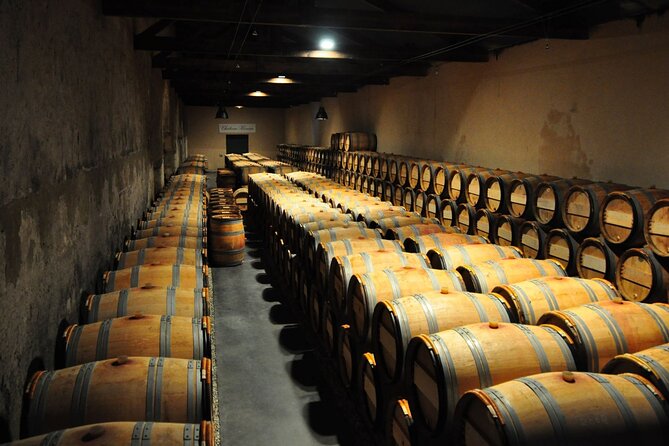 Medoc Region Wine Day Trip with Vineyard Visits & Tastings from Bordeaux - How much driving should you expect?