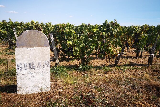 Medoc Region Wine Day Trip with Vineyard Visits & Tastings from Bordeaux - Price and overall value