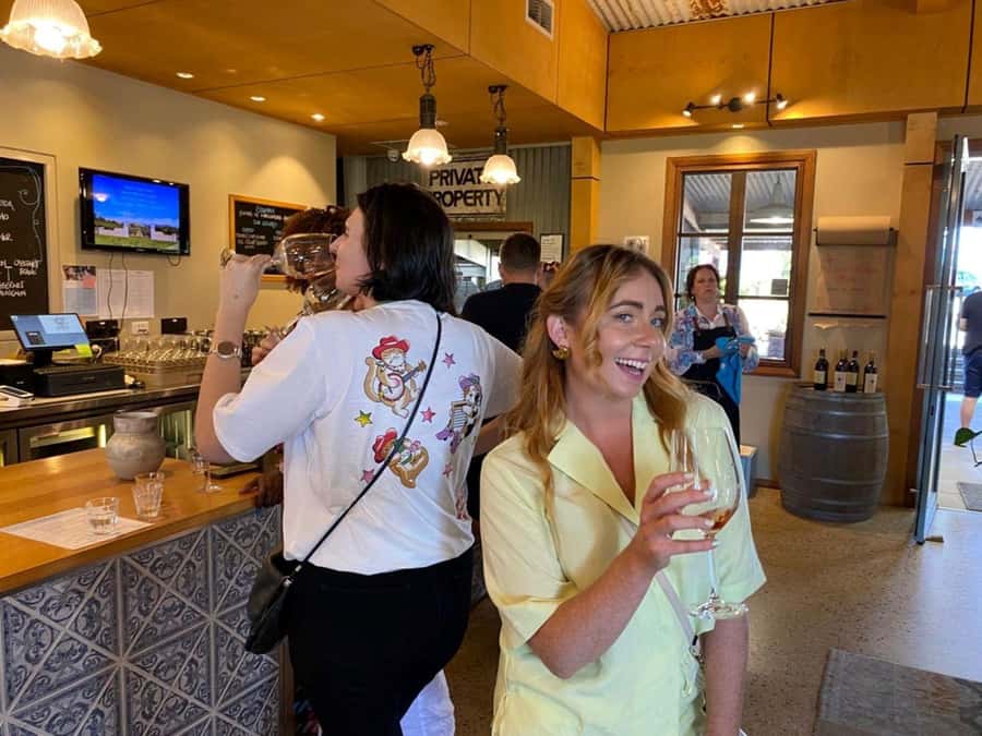 Melbourne: Yarra Valley Half-Day Wine Tour - Why this half-day format works so well