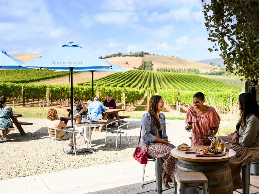 Melbourne: Yarra Valley Half-Day Wine Tour - Payten & Jones: the relaxed, experimental middle stop