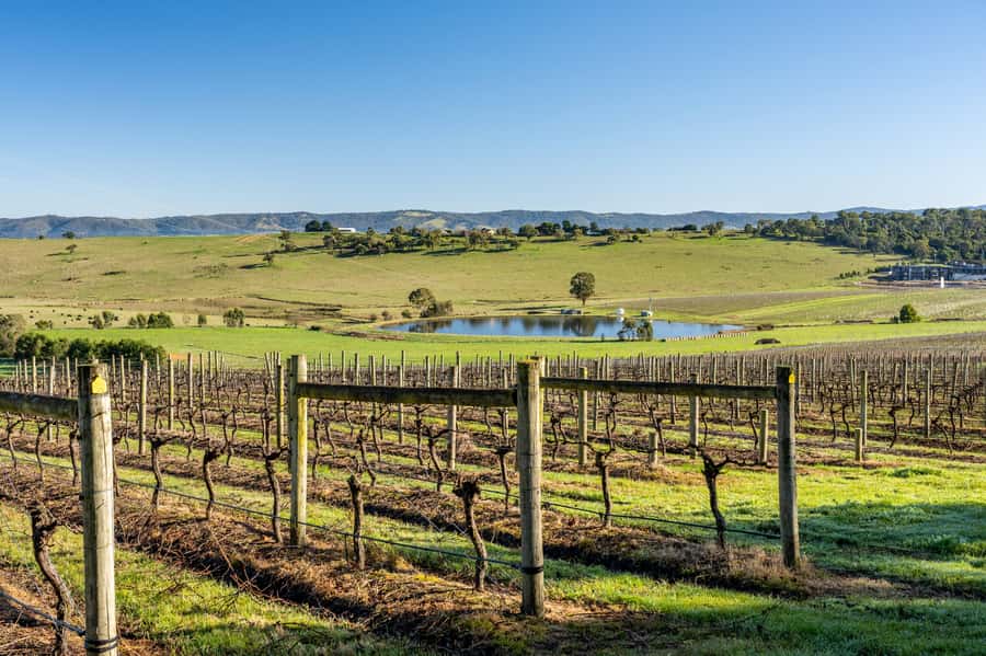 Melbourne: Yarra Valley Wine, Cider, Gin, Beer, & Choc Tour - Key points at a glance