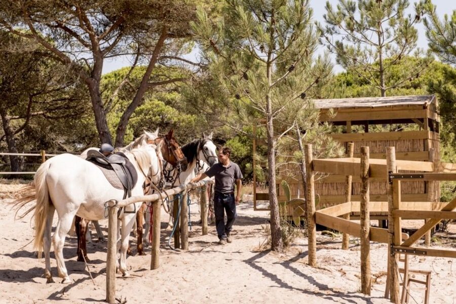 Melides: Horse Riding on the Beach with Wine Tasting - From Lisbon to the Melides coast