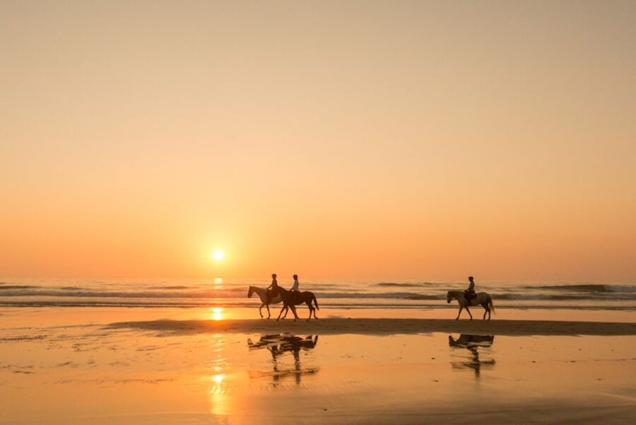 Melides: Horse Riding on the Beach with Wine Tasting - Through the pine forest and protected dunes