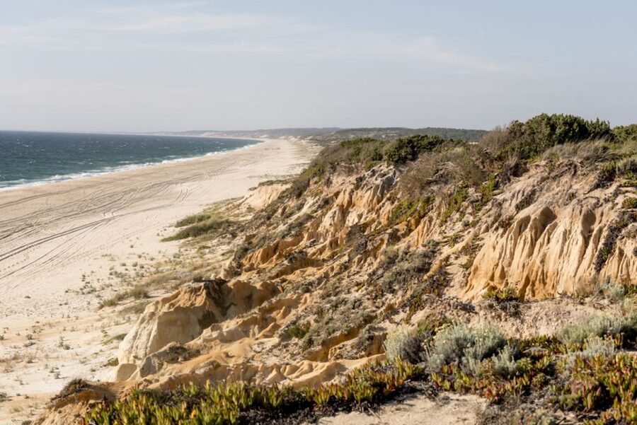 Melides: Horse Riding on the Beach with Wine Tasting - Who will enjoy this ride most?