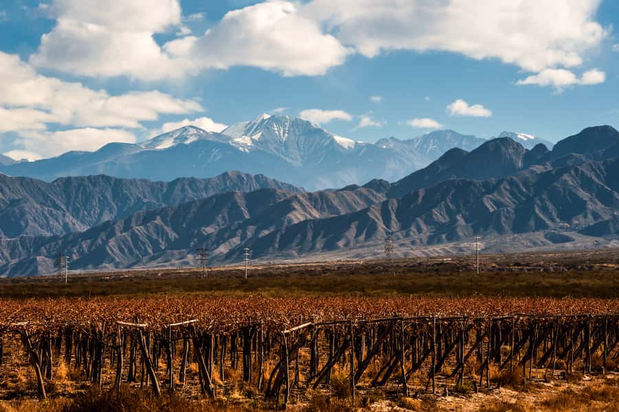 Mendoza: Full Day Wine Tour with 3 Course Lunch - Why Mendoza’s desert makes such good wine country