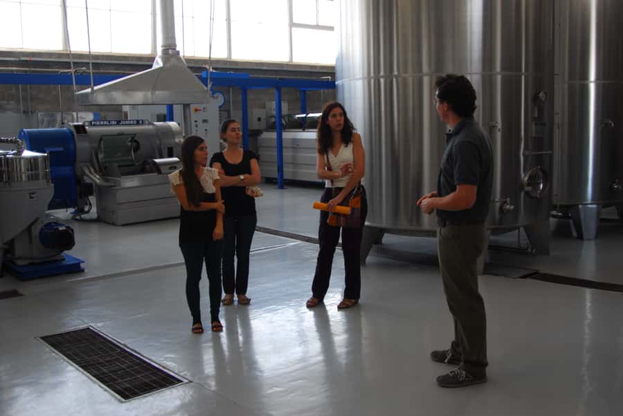 Mendoza: Full Day Wine Tour with 3 Course Lunch - Lunch with wine, views, and a slower middle of the day