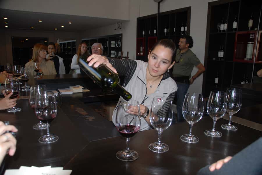 Mendoza: Full Day Wine Tour with 3 Course Lunch - Choosing between Luján de Cuyo, Maipú, and Valle de Uco