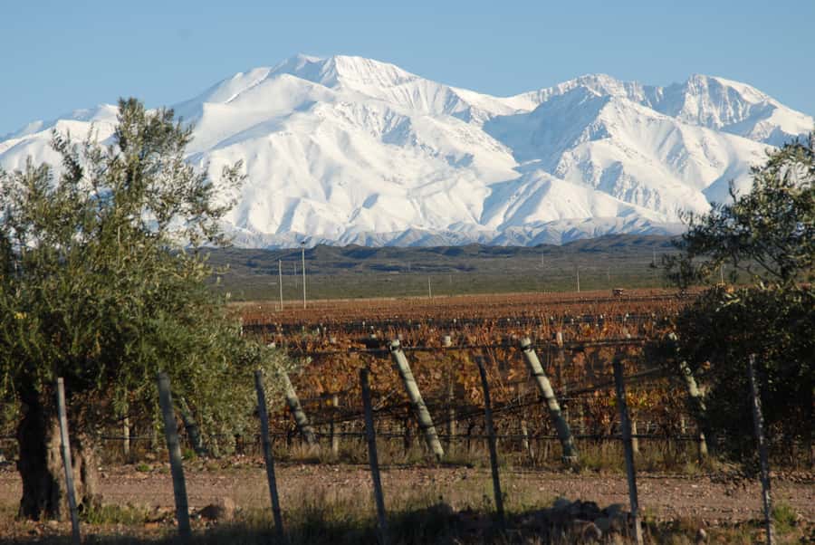 Mendoza: Full Day Wine Tour with 3 Course Lunch - The morning ride from central Mendoza