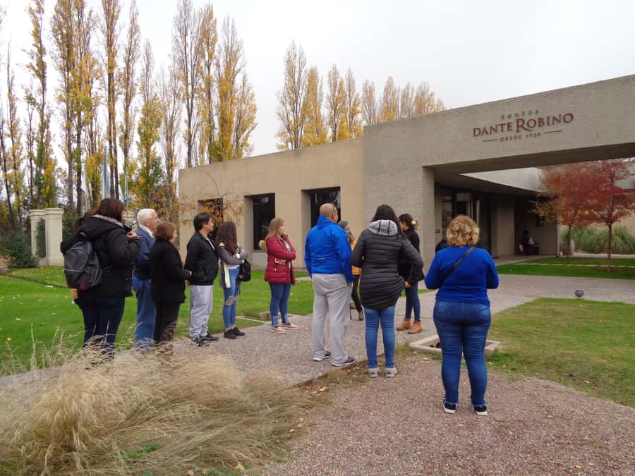 Mendoza: Half-Day Wine Tour with Tastings - Why this short tour works in Mendoza