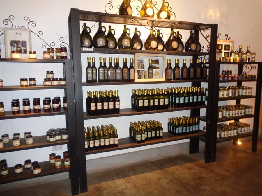 Mendoza: Half-Day Wine Tour with Tastings - First winery: learning the route from grape to bottle