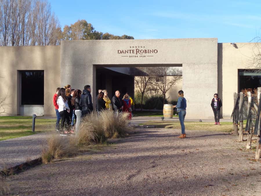 Mendoza: Half-Day Wine Tour with Tastings - Pickup in central Mendoza and the drive outward