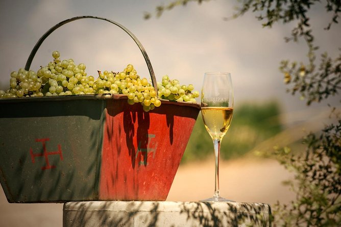 Mendoza Hop-On Hop-Off Wine Tour - Winery fees change the $40 value