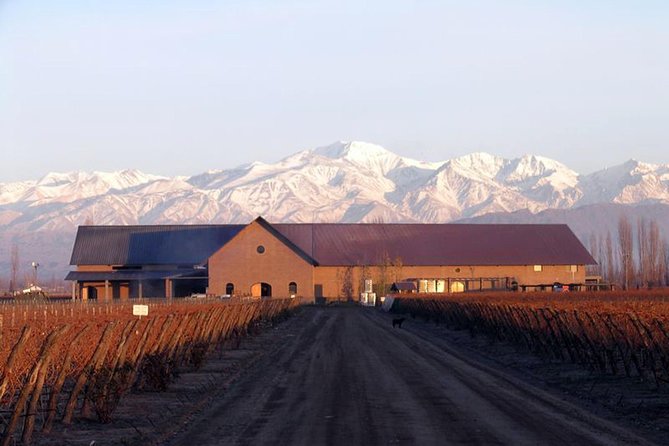 Mendoza Hop-On Hop-Off Wine Tour - Downtown pickup is broad, but early