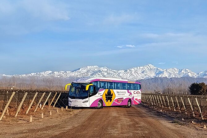 Mendoza Hop-On Hop-Off Wine Tour - Who will enjoy this most