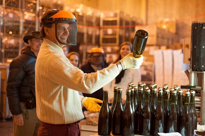 Mendoza Hop-On Hop-Off Wine Tour - What the full-day ticket really gives you