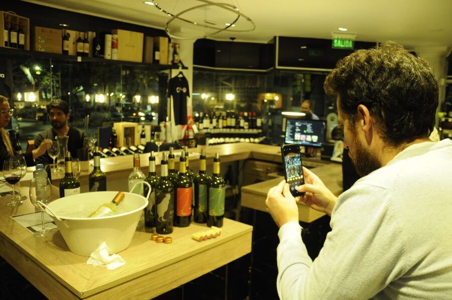 Mendoza: Premium Wine Tasting - The two-hour pace