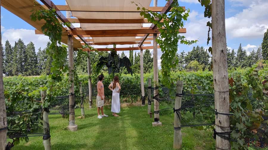 Mendoza: Top Wineries Guided Tour with Transportation - A Mendoza wine day built around contrast
