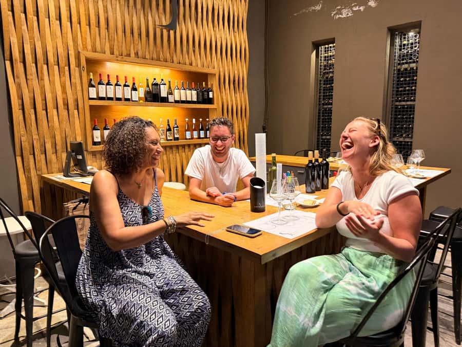 Mendoza: Top Wineries Guided Tour with Transportation - Luján de Cuyo or Uco Valley?