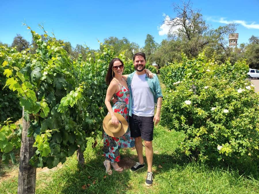 Mendoza: Top Wineries Guided Tour with Transportation - Practical details worth knowing before you book