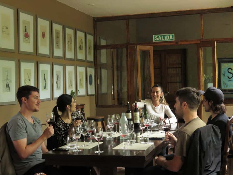 Mendoza: Wine Tasting Tour with Lunch and Private Transport - A private wine day through Mendoza Province