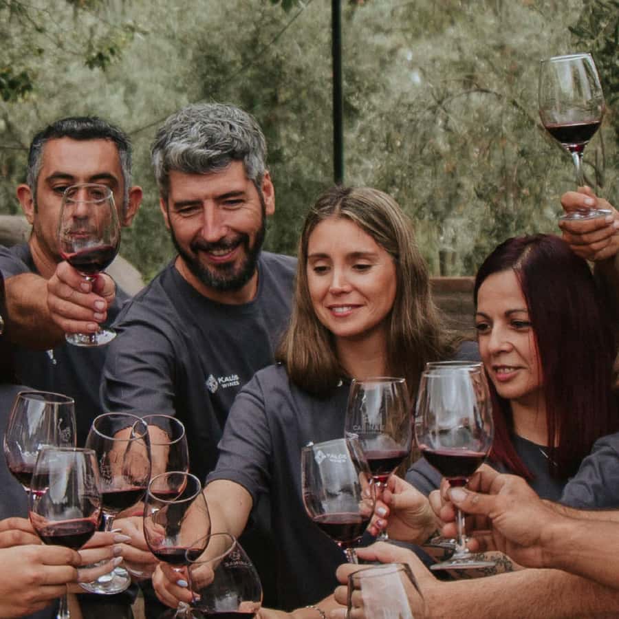 Mendoza: Wine Tasting Tour with Lunch and Private Transport - Your driver sets the tone from the start