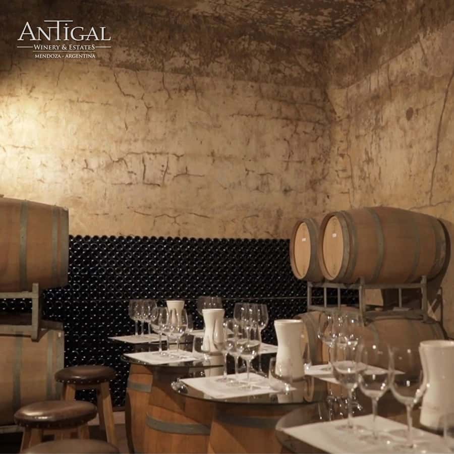 Mendoza: Wine Tasting Tour with Lunch and Private Transport - The second tasting adds contrast