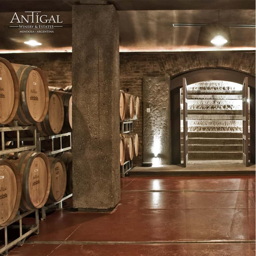 Mendoza: Wine Tasting Tour with Lunch and Private Transport - Private does not always mean fully guided