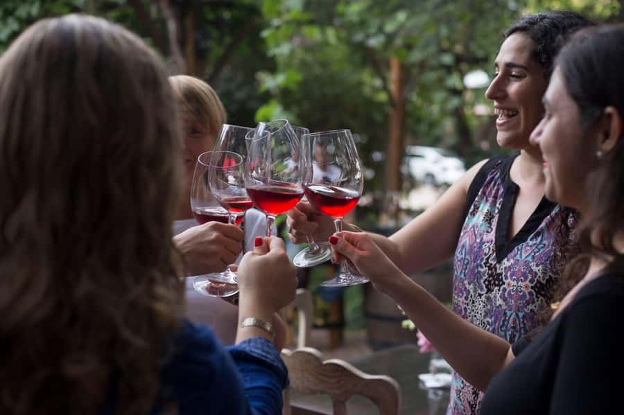 Mendoza: Wine Tasting Tour with Lunch and Private Transport - What the tour does well