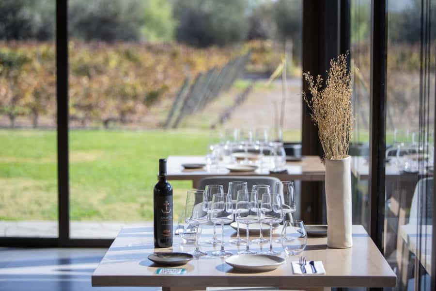 Mendoza: Wine Tasting Tour with Lunch and Private Transport - The first winery gives you the vineyard story
