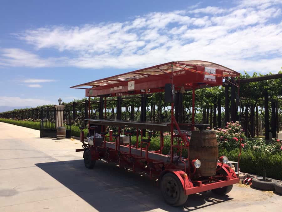Mendoza: Winebike Tasting Tour with Optional Lunch - Key points to know before booking