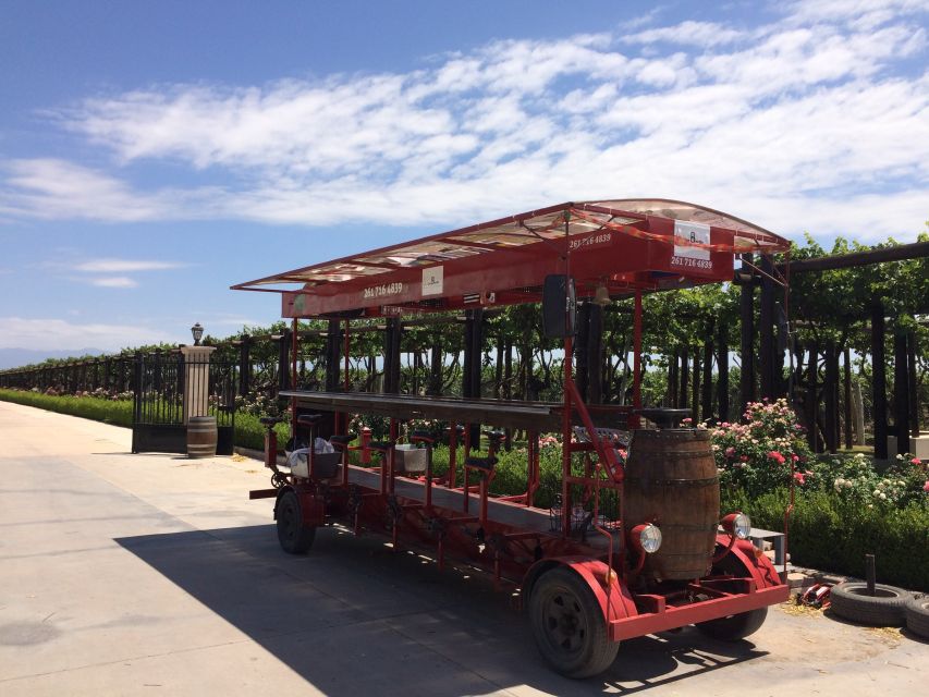Mendoza: Winebike Tasting Tour with Optional Lunch - La Melessca and the flavors beyond wine