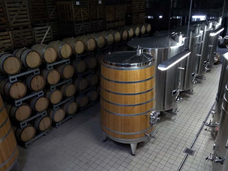 Meunier Champagne Experience tour - Passy-Grigny - Who should book this Champagne experience?