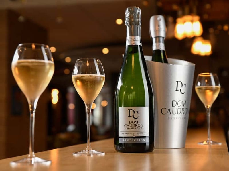 Meunier Champagne Experience tour - Passy-Grigny - The 75-minute route through Champagne production
